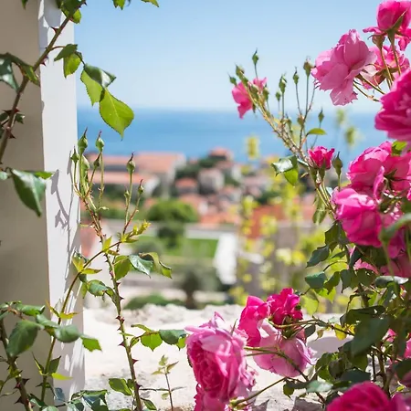 Faros - Two-bedroom With Terrace And Sea View * 두브로브니크